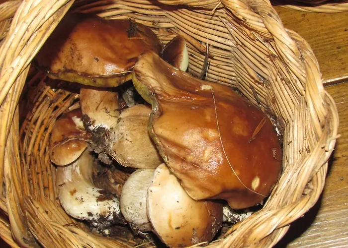 컨트리하우스 La Esperilla De Gredos Barajas de Gredos